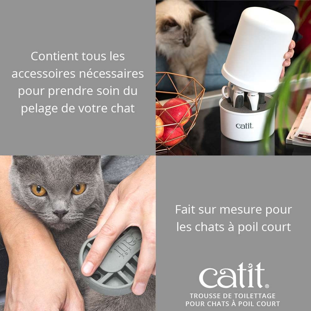 Trousse de toilettage pour chat à poils courts - Catit