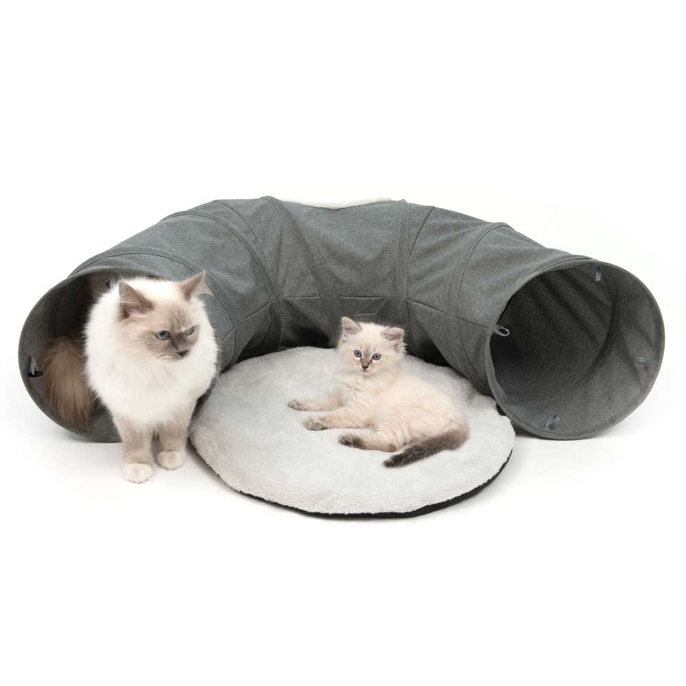 Des chats jouent dans le tunnel Catit Vesper déplié, gris, sur un tapis.