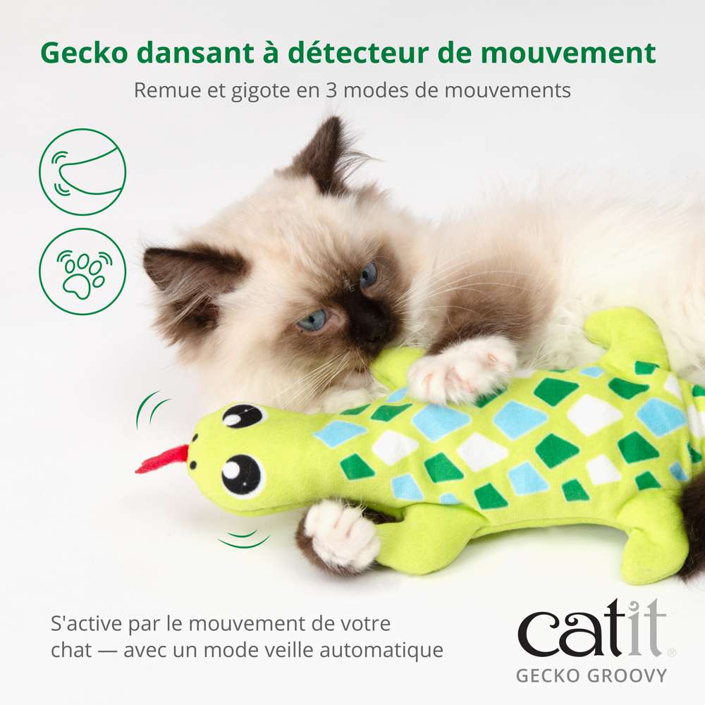 Jouet pour chat Groovy Gecko - Catit