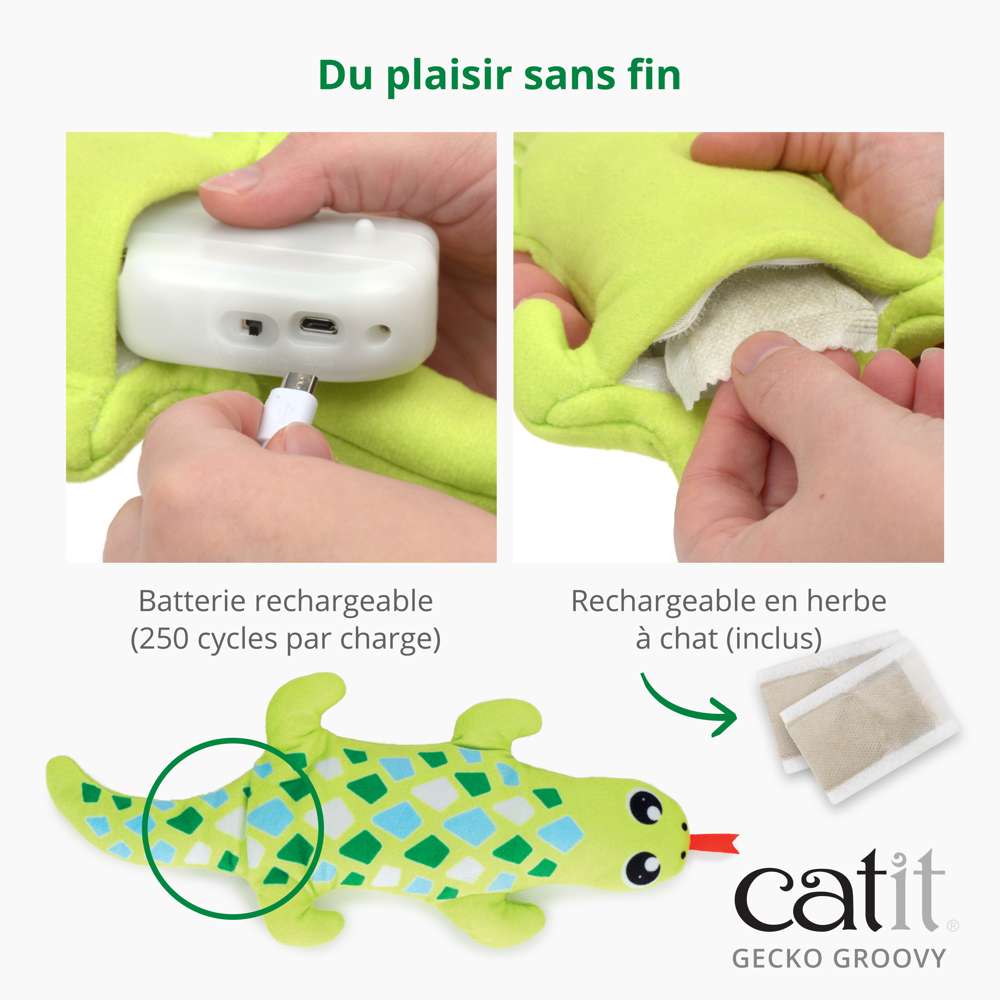 Jouet pour chat Groovy Gecko - Catit
