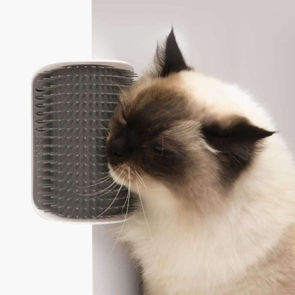 Autotoiletteur pour chat - Catit Senses