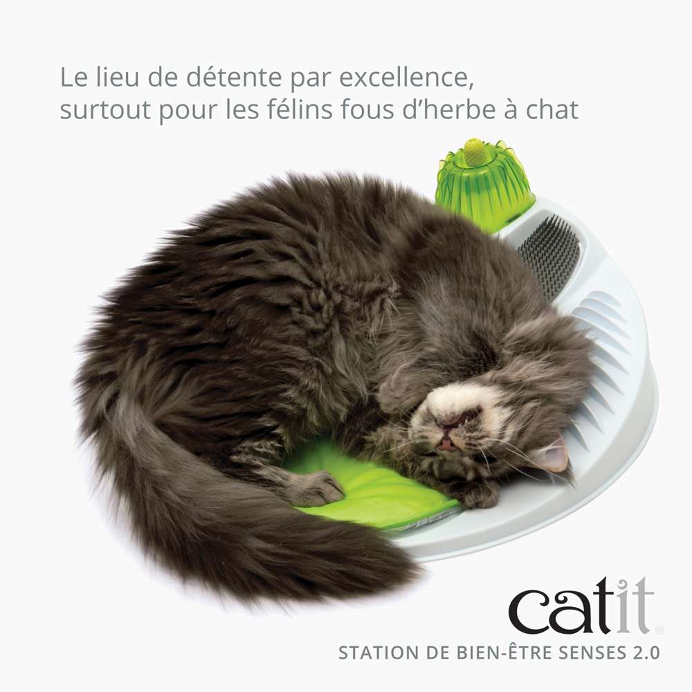 Station de bien-être pour chat - Avec herbe à chat - Catit Senses