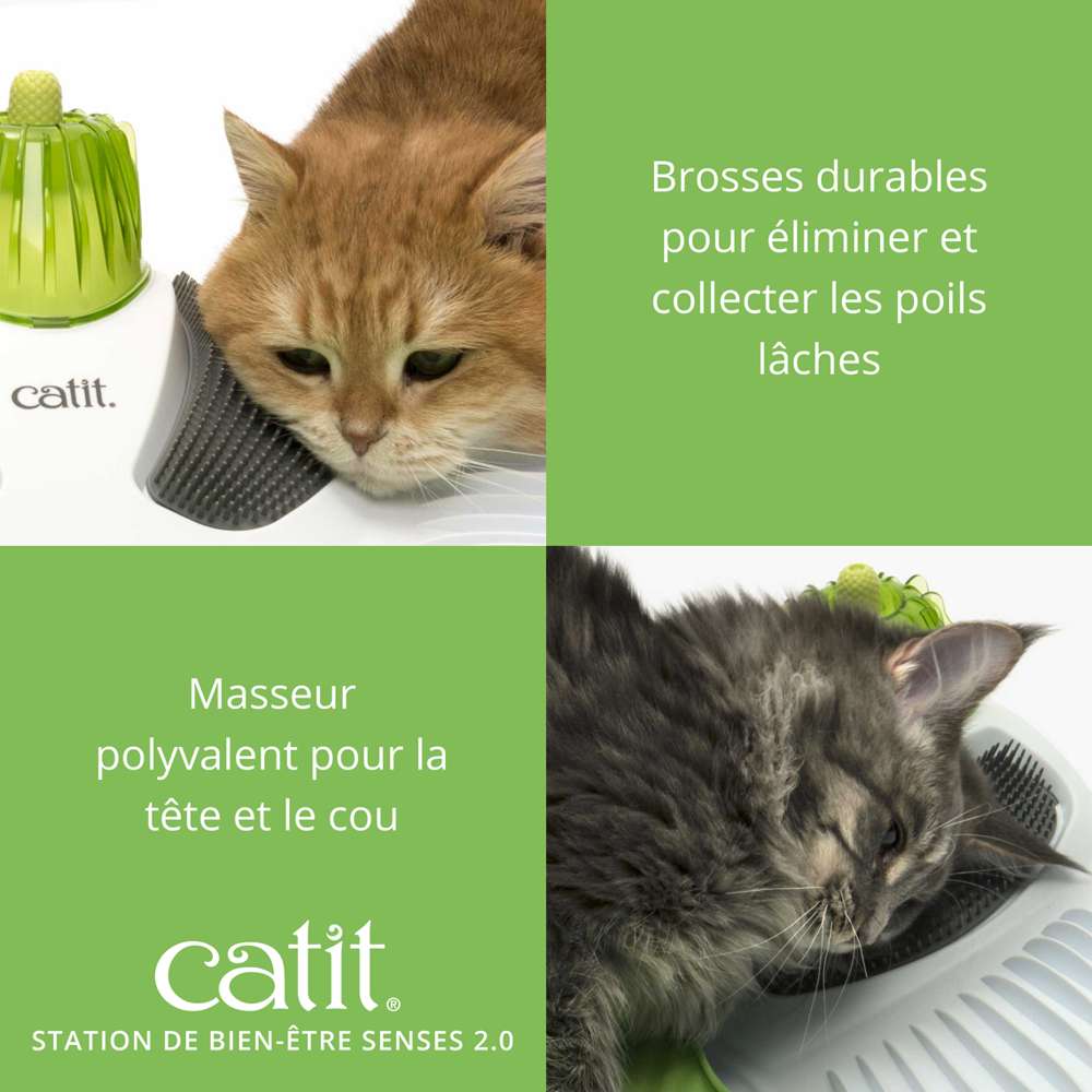 Station de bien-être pour chat - Avec herbe à chat - Catit Senses