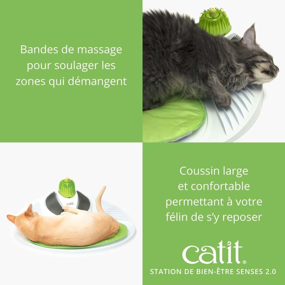 Station de bien-être pour chat - Avec herbe à chat - Catit Senses