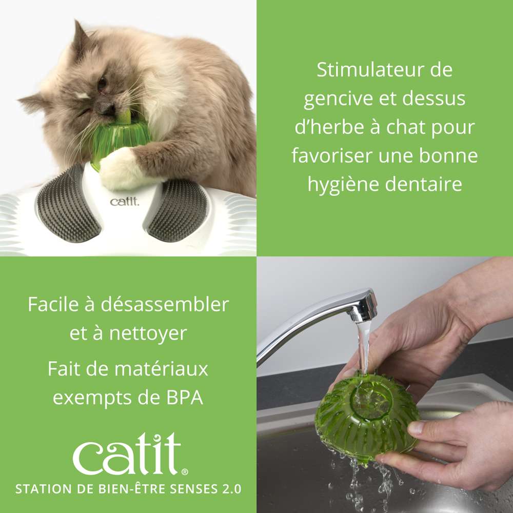 Station de bien-être pour chat - Avec herbe à chat - Catit Senses