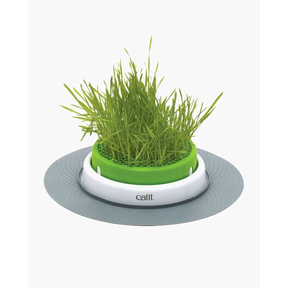 Jardinière d'herbe pour chat - Catit Senses