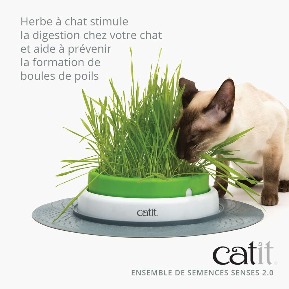 Emballage du kit d’herbe à chat Catit Senses 2.0, vue avant avec informations en français.