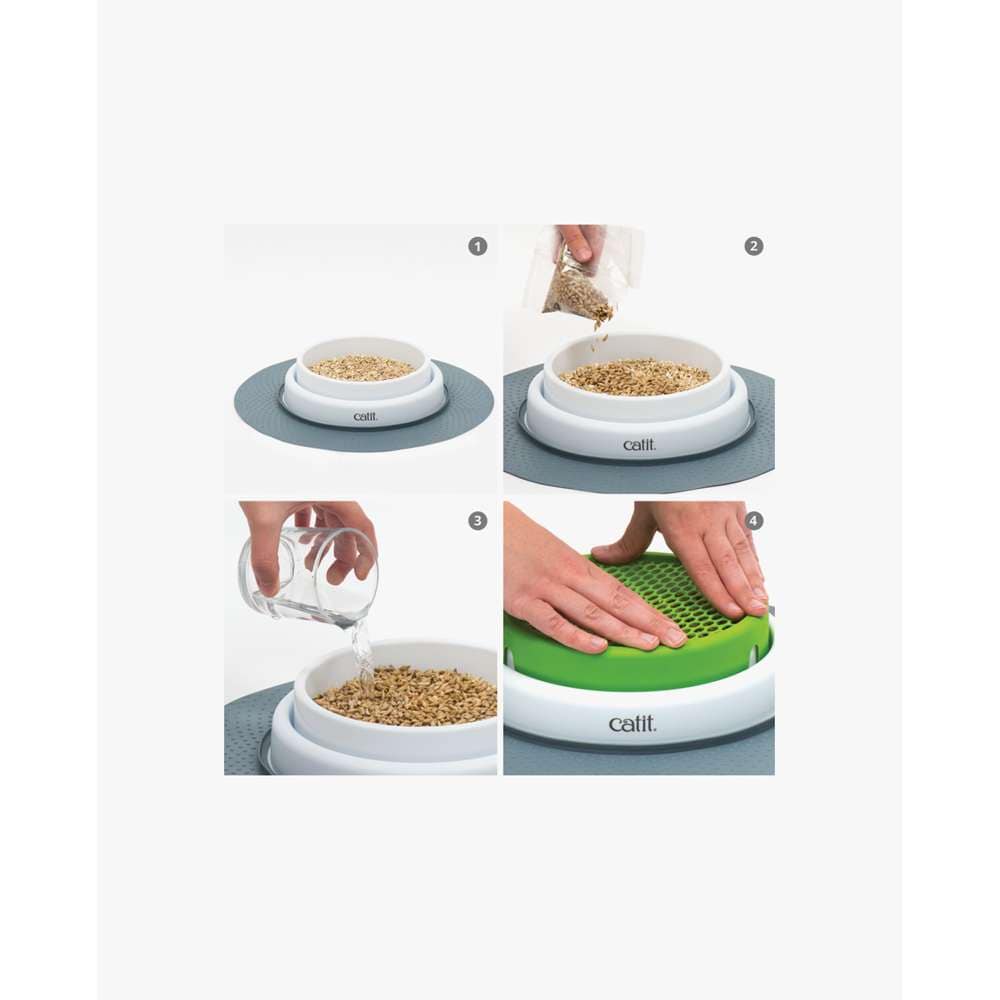 Détail du kit d’herbe à chat Catit Senses 2.0, vue des graines et du pot, informations internationales.