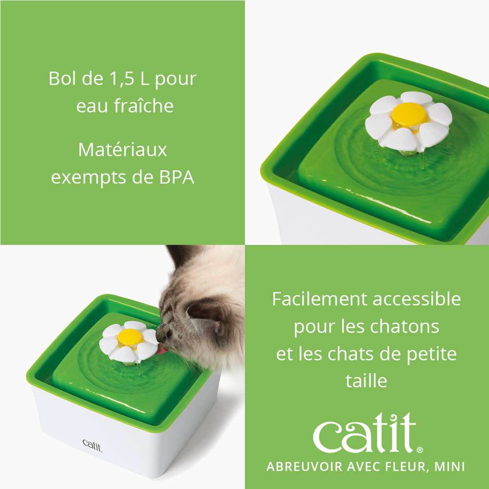 Fontaine mini Catit encourageant chat à boire plus pour prévenir troubles urinaires.