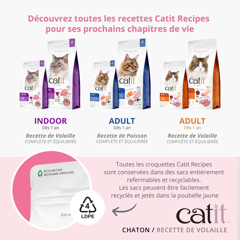 Croquettes pour chaton Volaille sans céréales - Catit Recipes