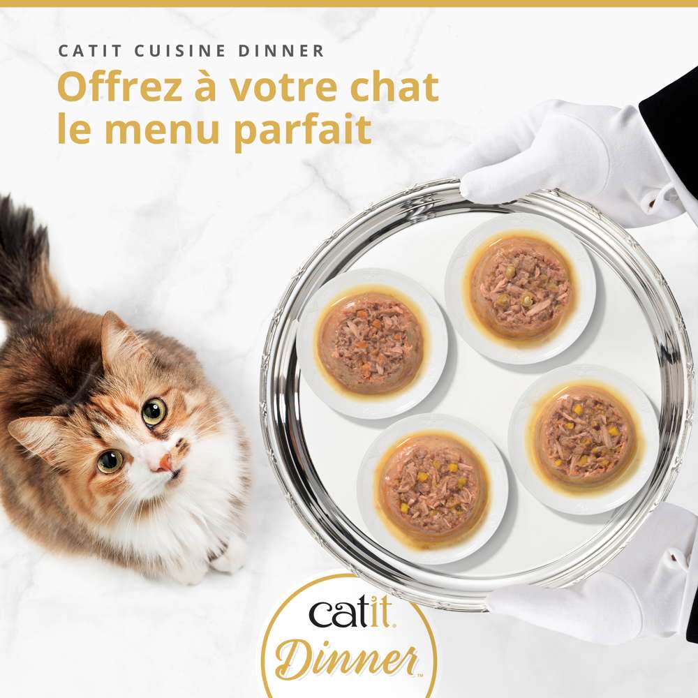 Terrine de poisson pour chat - 75g - Catit Cuisine Dinner