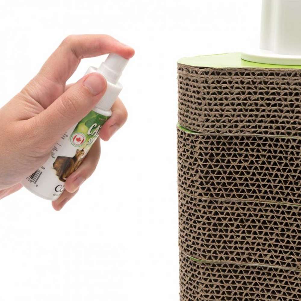 Une main vaporise du spray à l'herbe à chat sur des jouets pour chats.