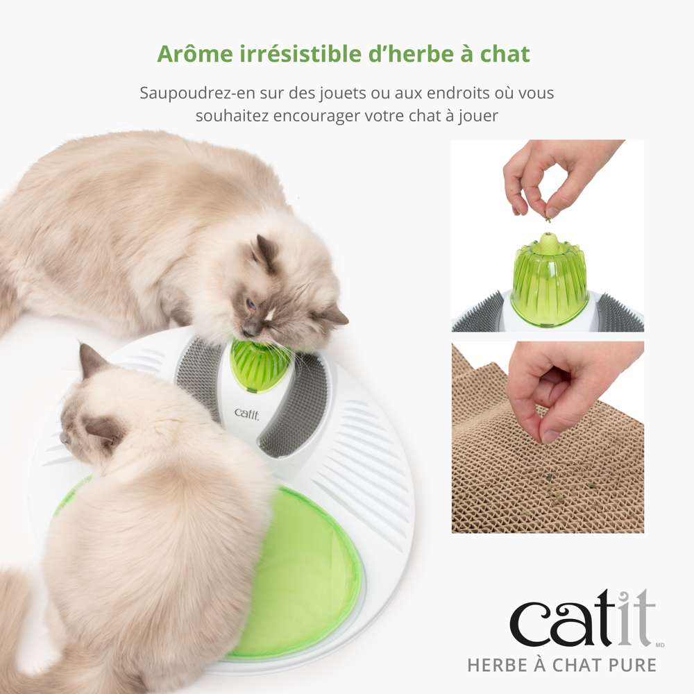 Herbe à chat pure - Catit