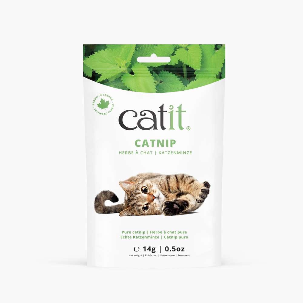 Herbe à chat pure - Catit