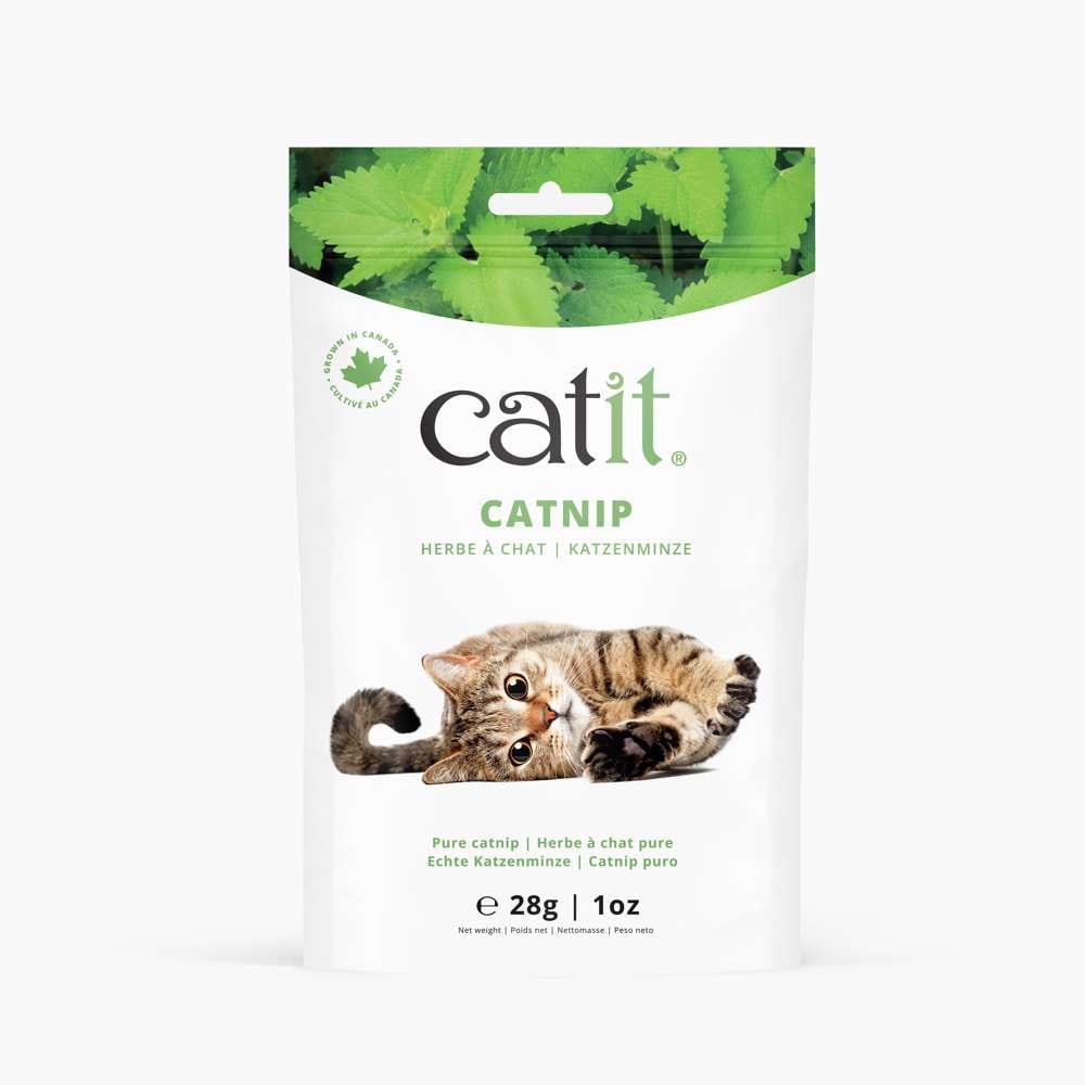 Sachet frontal herbe à chat Catit 28g avec design élégant.