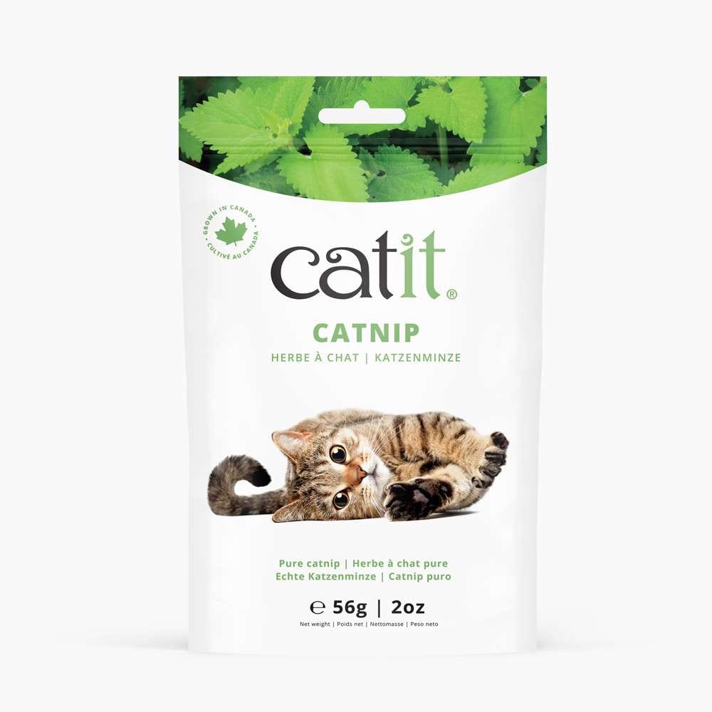 Herbe à chat pure - Catit