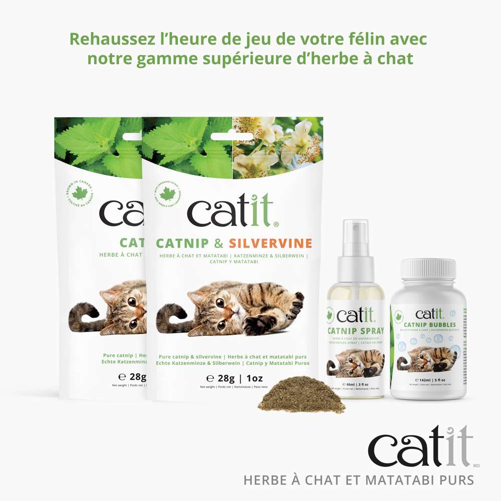 Rehaussez l'heure de jeu de votre félin avec notre gamme supérieure d'herbe à chat.