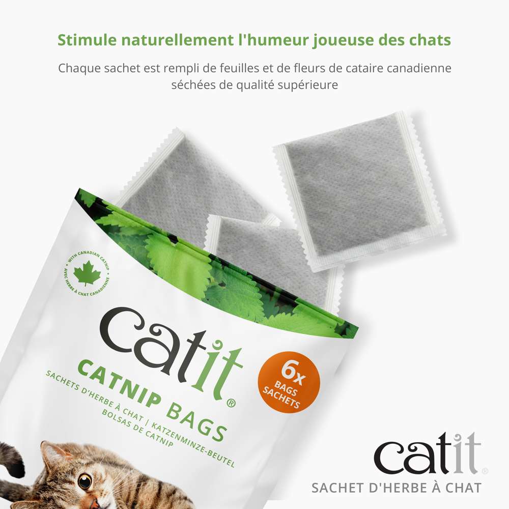 Emballage ouvert de sachets de cataire Catit, sachets gris rectangulaires, emballage blanc et vert avec texte et logo Catit.