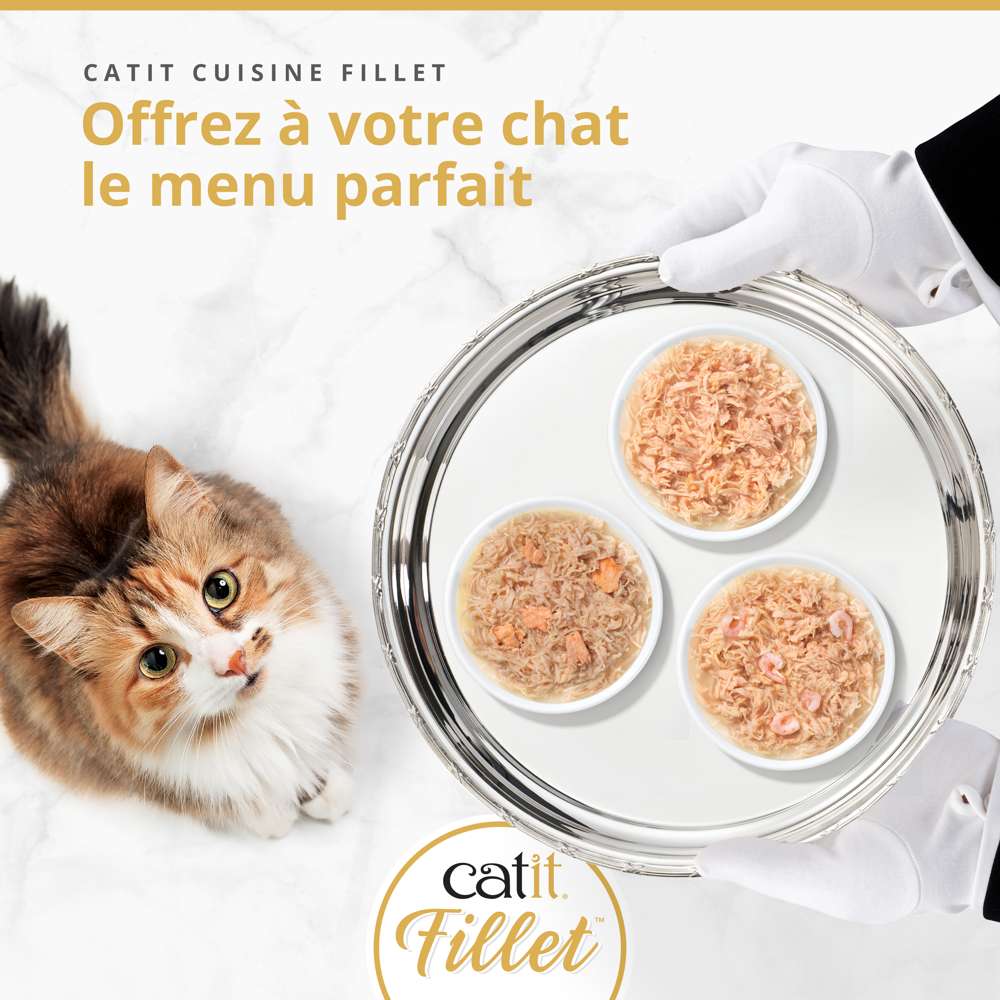Multipack Filets pour chat - 12 x 75g - Catit Cuisine