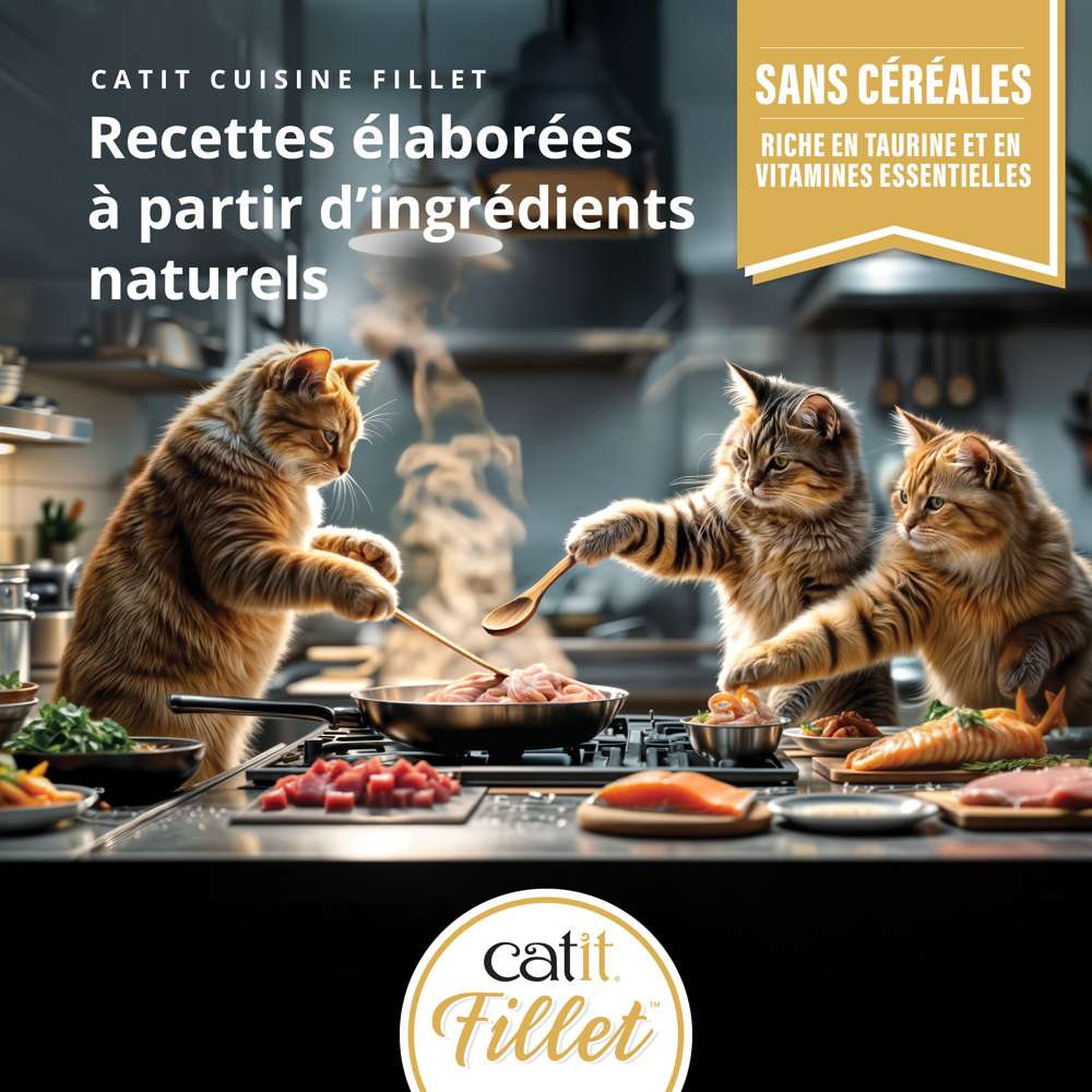 Multipack Filets pour chat - 12 x 75g - Catit Cuisine