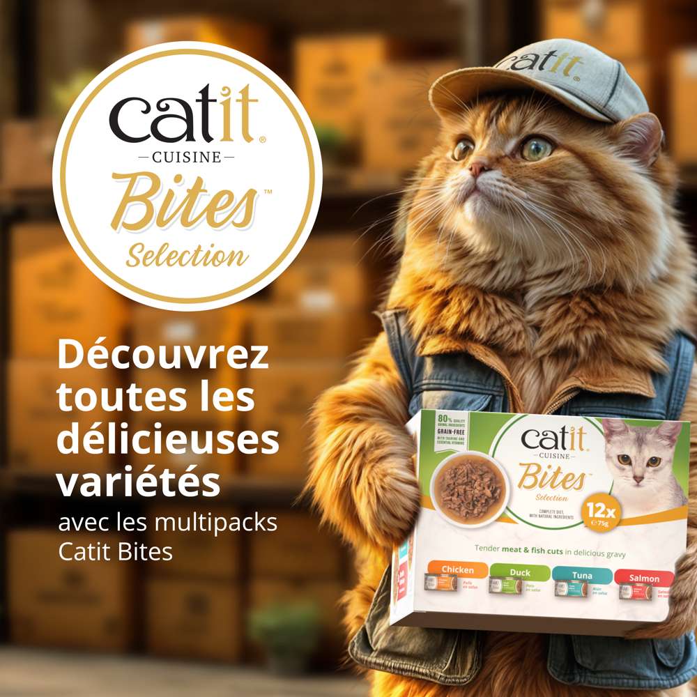 Bouchées pour chat - 75g - Catit Cuisine