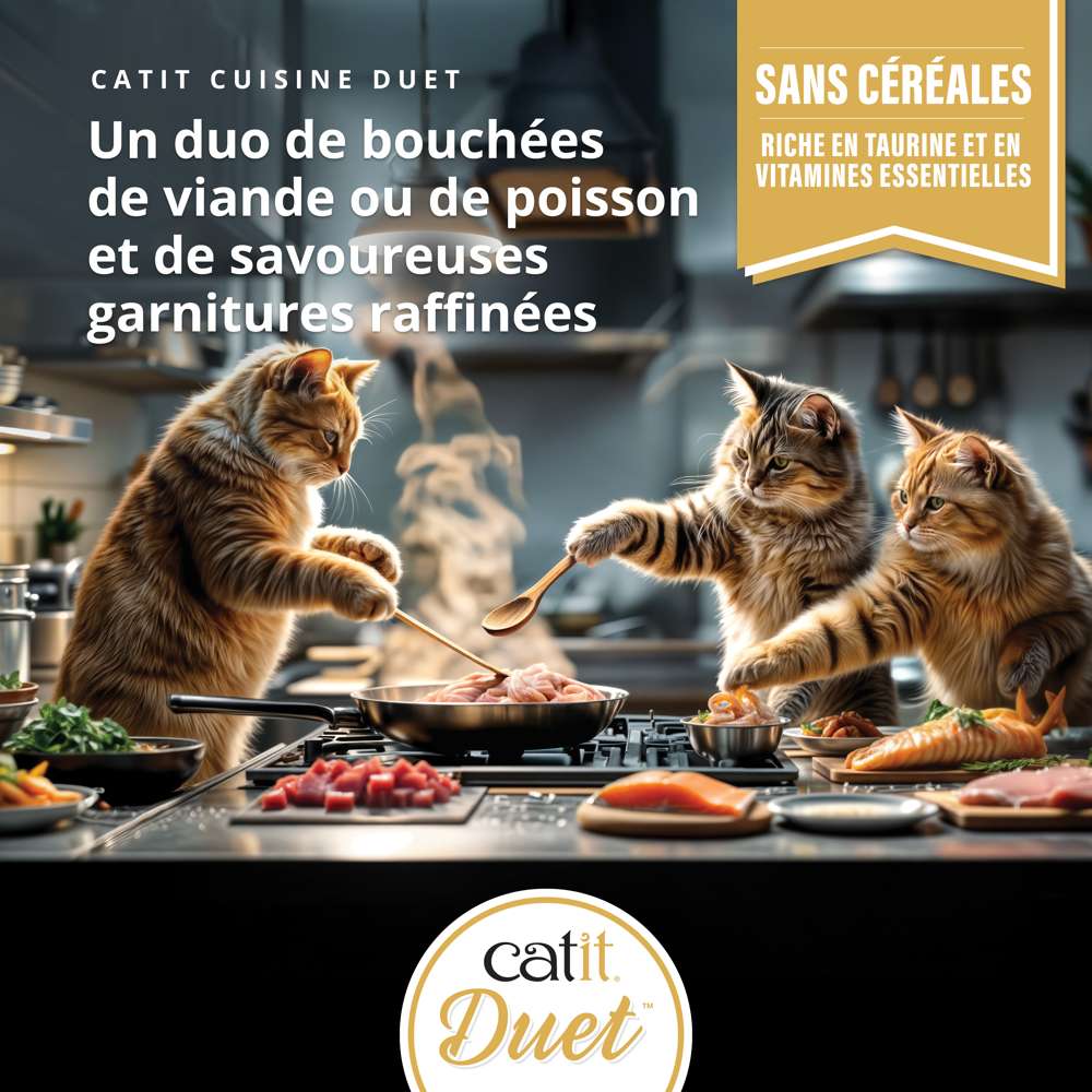 Bouchées avec garniture pour chat - 75g - Catit Cuisine