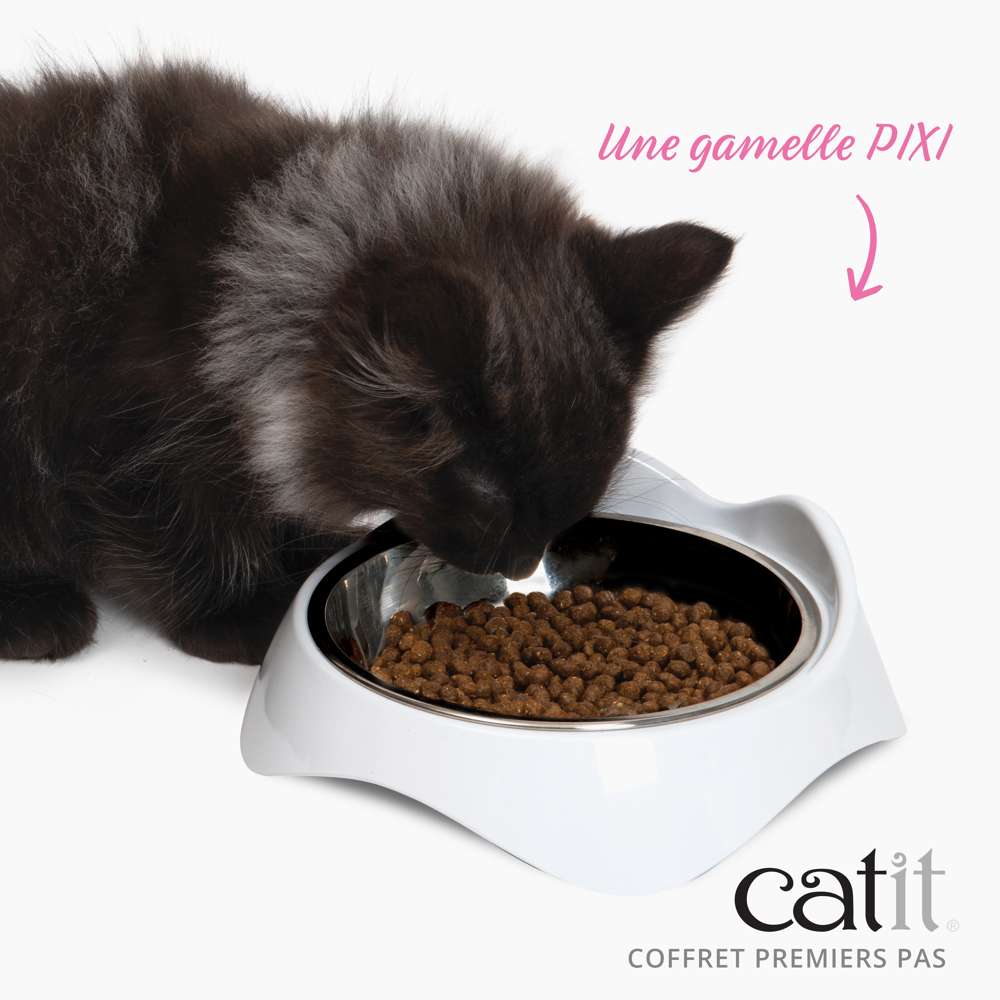 Kitten Starter Box - Catit