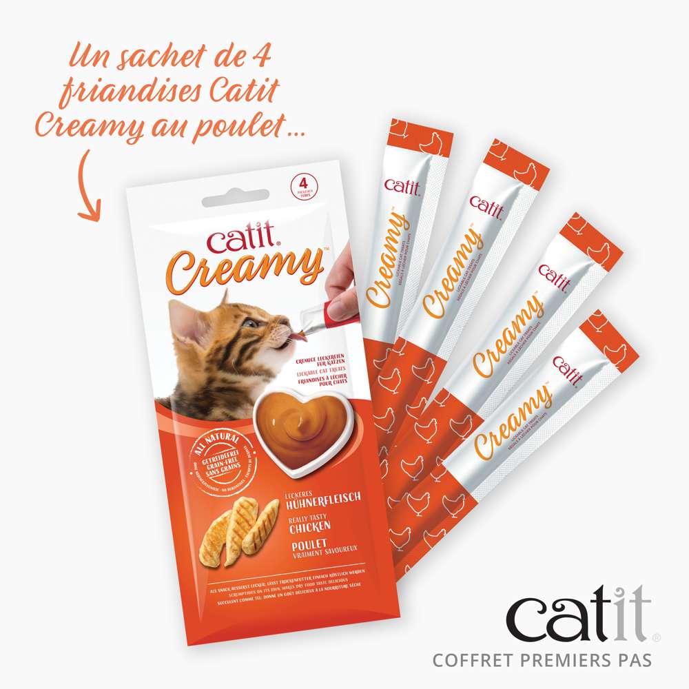Kitten Starter Box - Catit