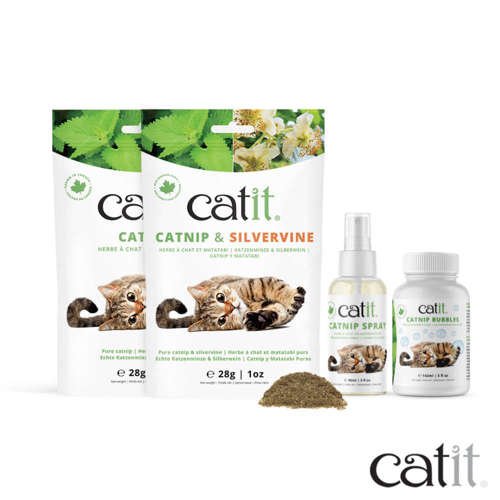 Bulles d'herbe à chat - Catit