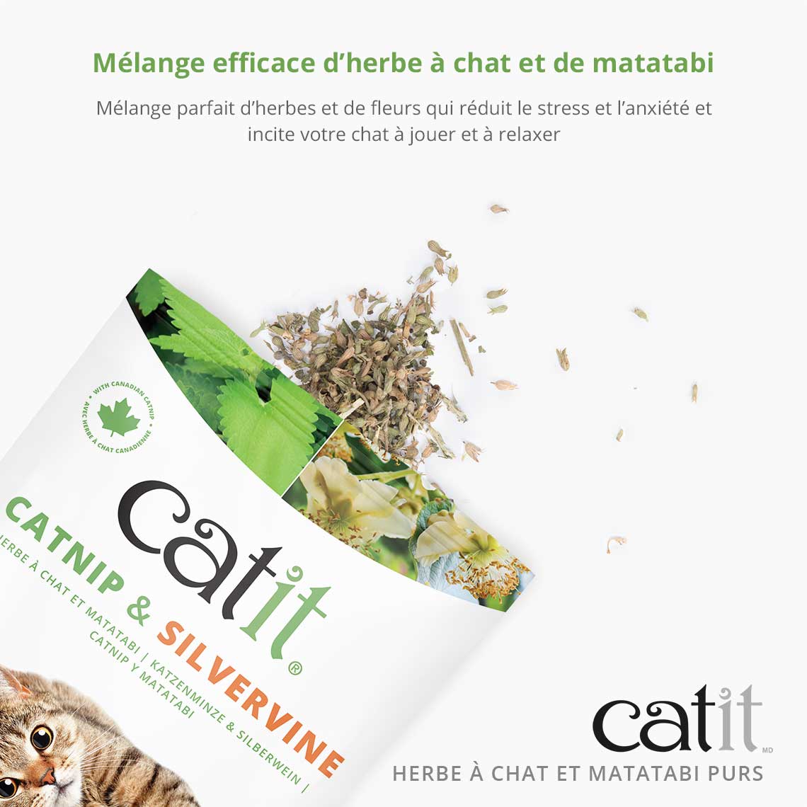 Mélange herbe à chat et matatabi - Catit