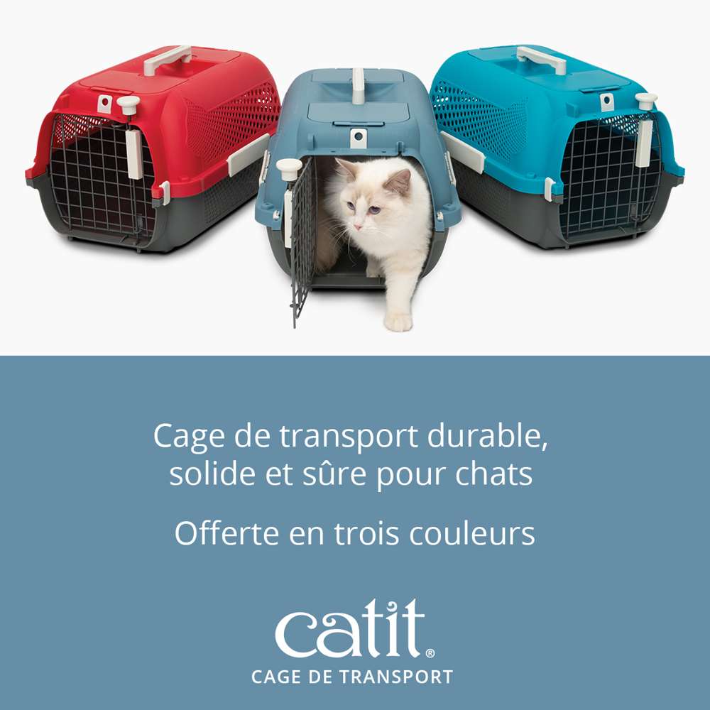 Caisse de transport pour chat - Catit