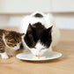 Mousse pour chat - Catit Creamy Cups