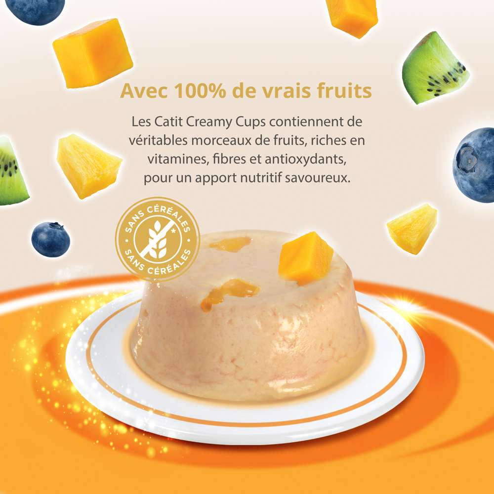 Mousse pour chat - Catit Creamy Cups