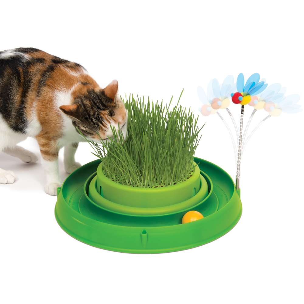 Circuit avec balle et herbe pour chat - Catit