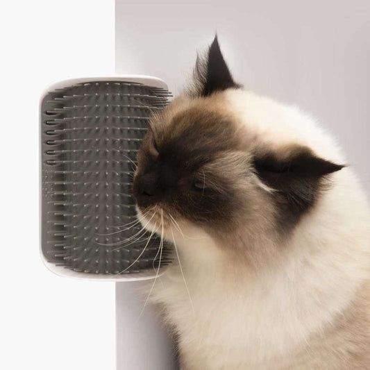 Autotoiletteur pour chat - Catit Senses