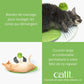 Station de bien-être pour chat - Avec herbe à chat - Catit Senses