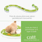 Supercircuit de jeu - Catit Senses