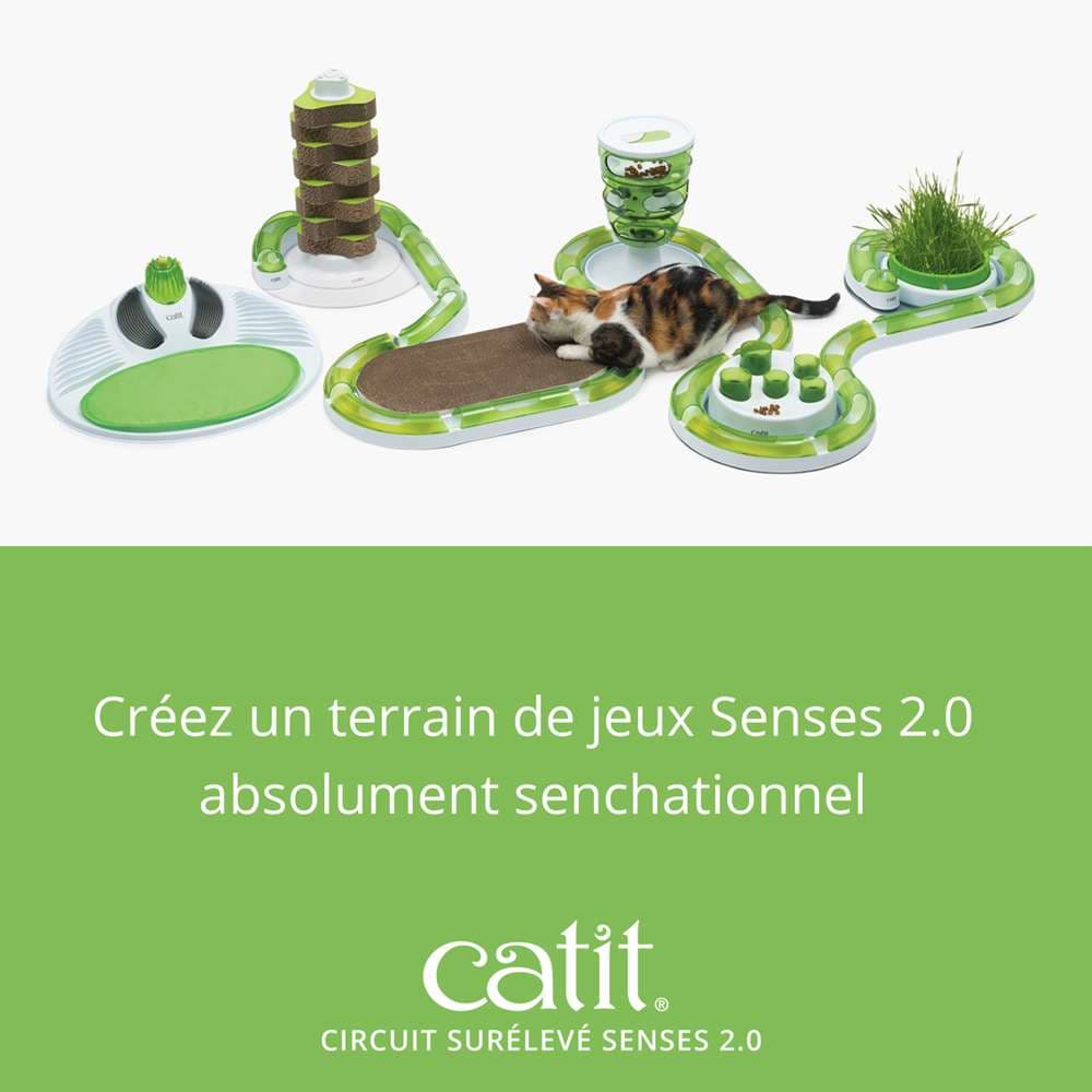 Supercircuit de jeu - Catit Senses