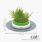 Jardinière d'herbe pour chat - Catit Senses