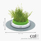 Jardinière d'herbe pour chat - Catit Senses