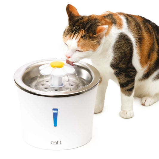 Fontaine à eau pour chat avec Fleur en acier inoxydable - Catit