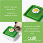 Fontaine à eau pour chat avec Fleur - Format mini - Catit