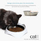 Gamelle pour chat - Catit Pixi