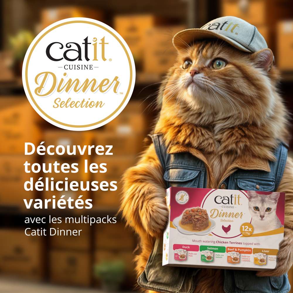 Terrine de poulet pour chat - 75g - Catit Cuisine Dinner
