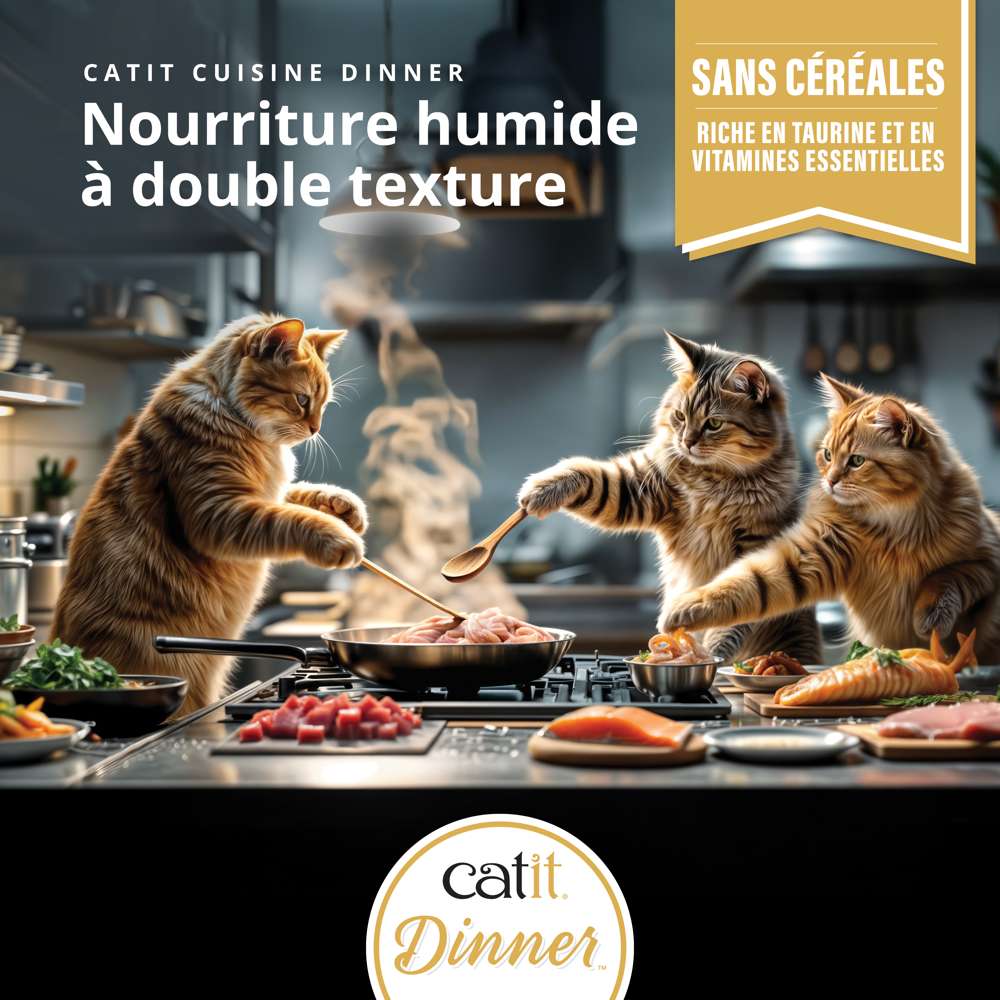Terrine de poisson pour chat - 75g - Catit Cuisine Dinner