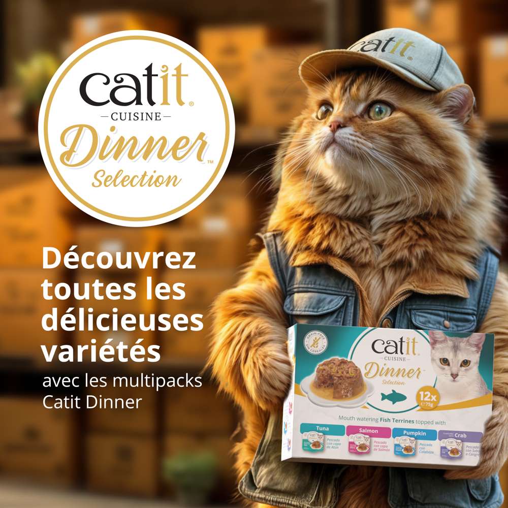 Terrine de poisson pour chat - 75g - Catit Cuisine Dinner