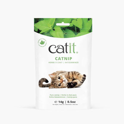 Herbe à chat pure - Catit