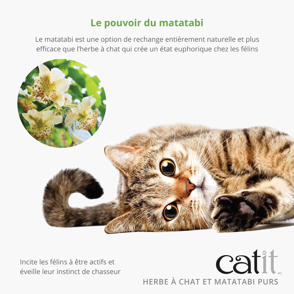 Mélange herbe à chat et matatabi - Catit