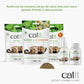 Herbe à chat pure en sachets - Catit
