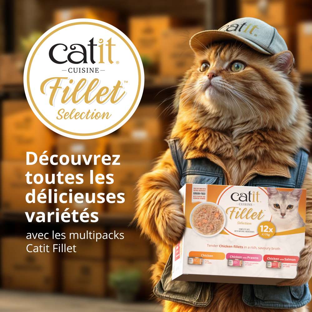 Filet de poulet pour chat - 75g - Catit Cuisine